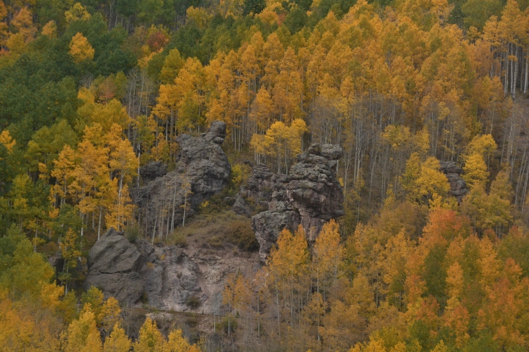 train through autumn colors